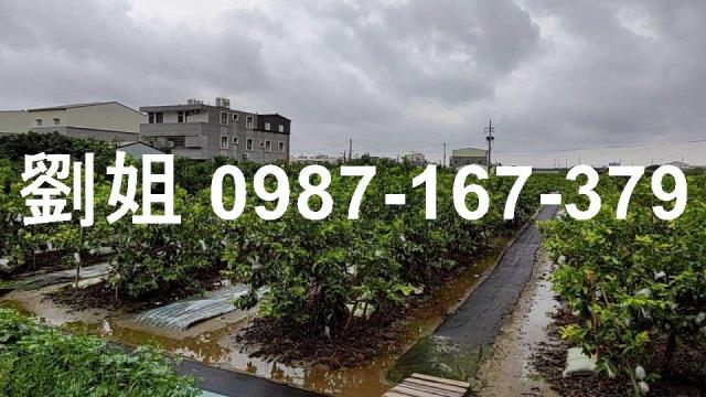 高雄阿蓮廠房-1