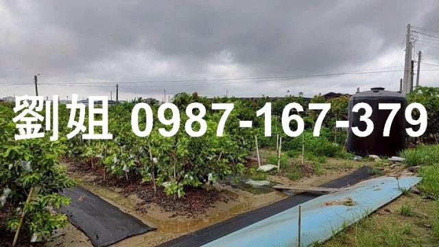 高雄阿蓮廠房-2