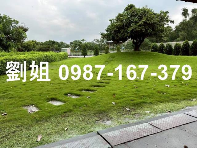 屏東農舍-0