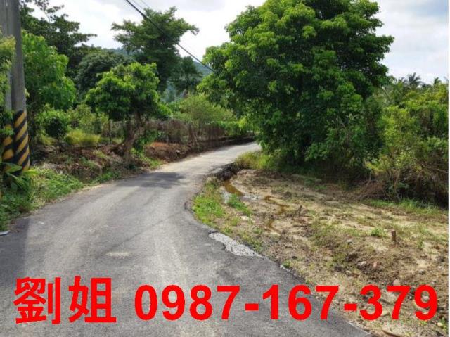 內門農地-2