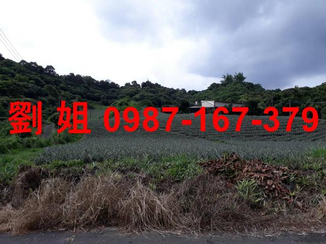 高雄農地-1