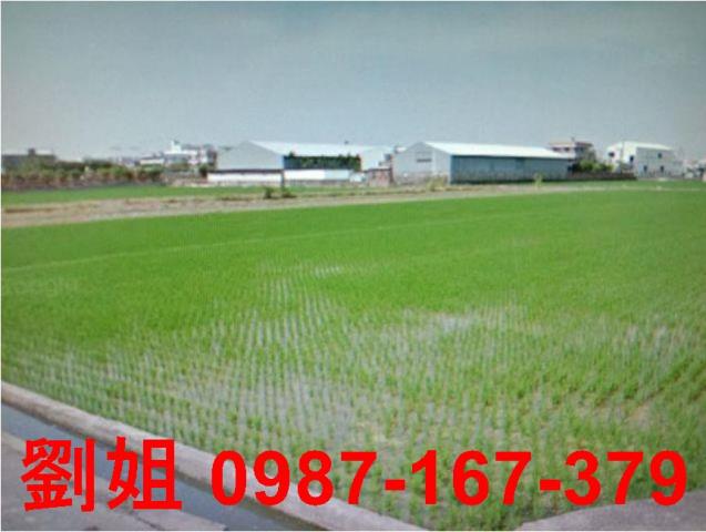 高雄鳥松農地-0