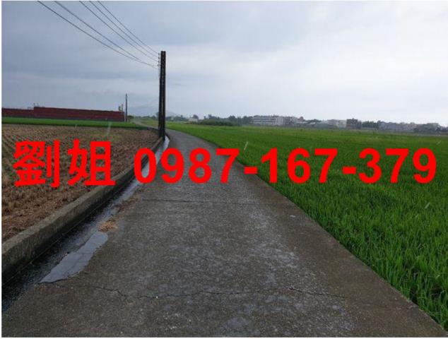 梓官農地-2