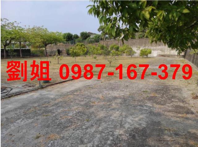 仁武農地-1