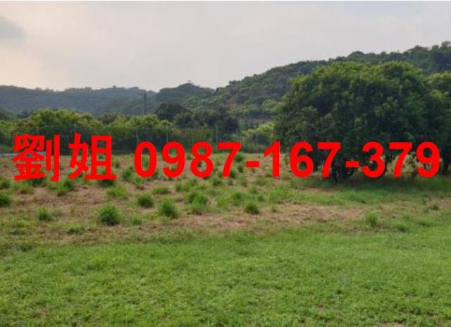 大樹農地-2
