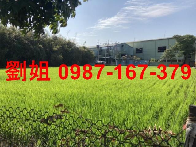 大寮農地-0