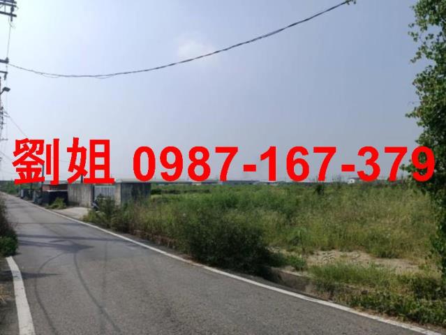 阿蓮農地-0