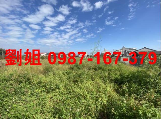 台南麻豆農地-0