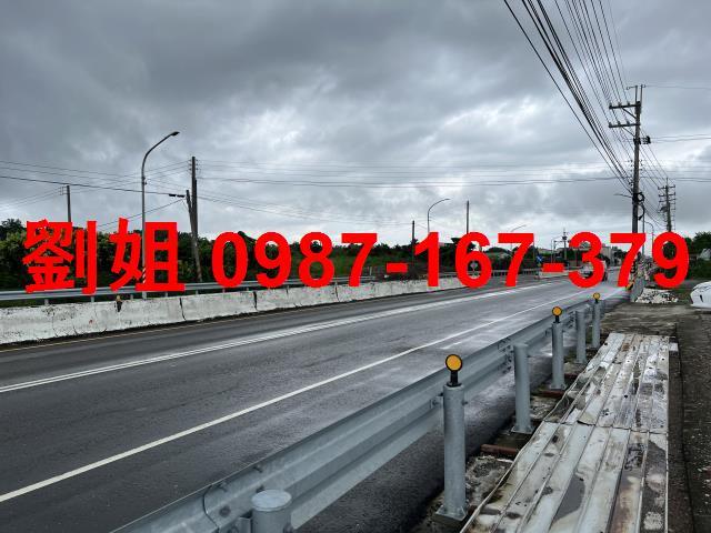 大樹農地-1