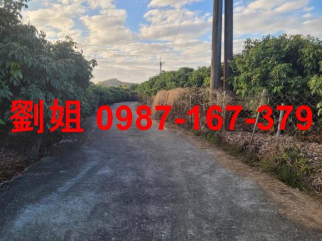 高雄大樹農地-1