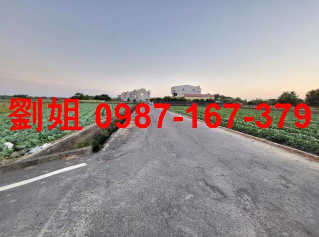 台南新市農地-0