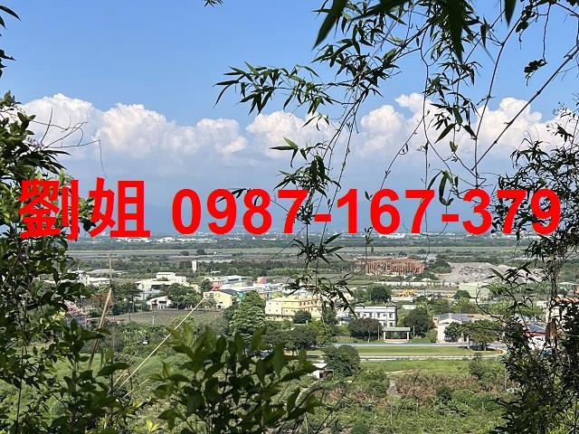 大樹農地-1