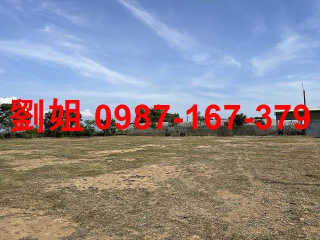 大樹農地-2
