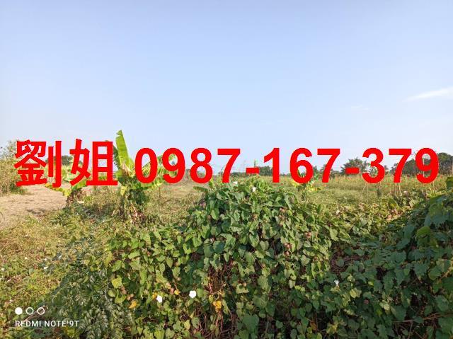 高雄農地-0