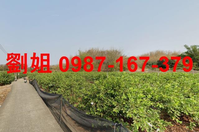 高雄燕巢農地-0