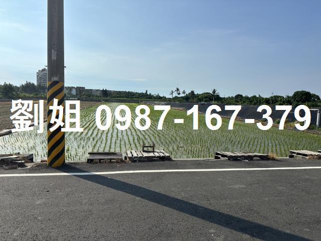 橋頭農地-0