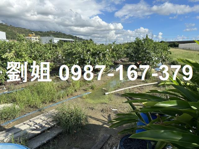 岡山農地-0