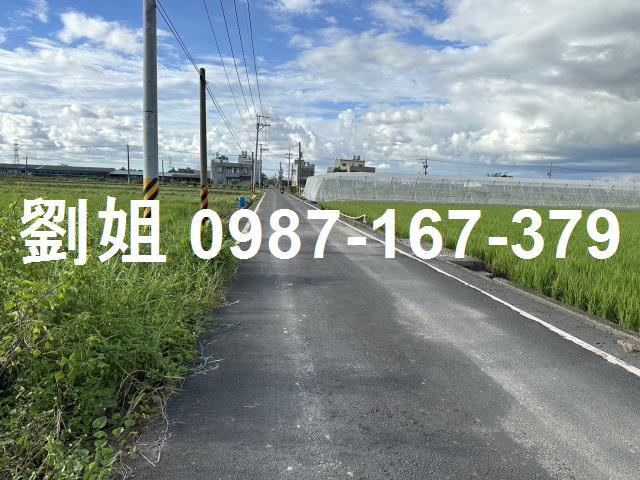 阿蓮農地-0