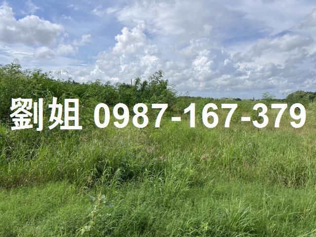 燕巢農地-0