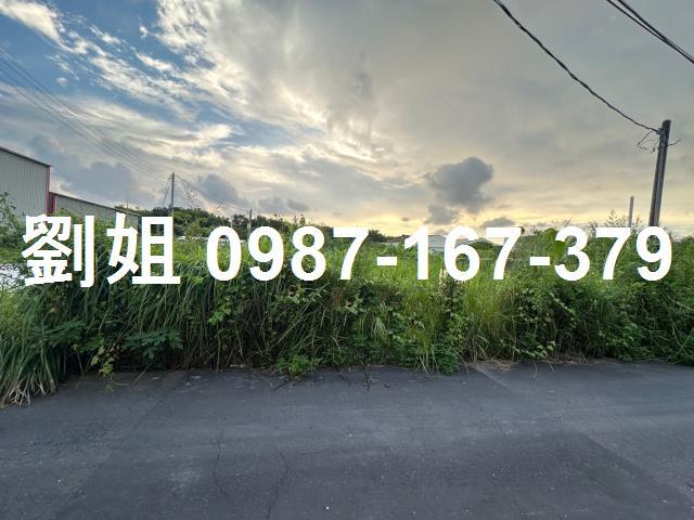 高雄仁武農地-0