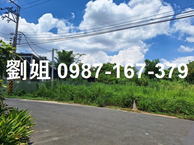 仁武農地-0