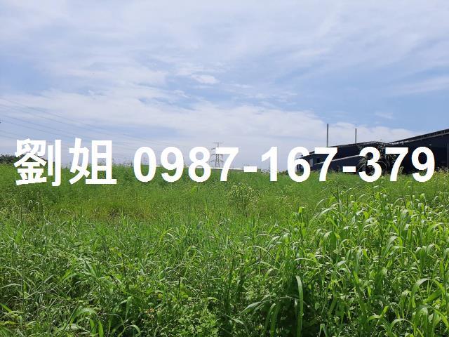 湖內工業地-0