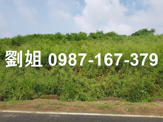 高雄農地-0