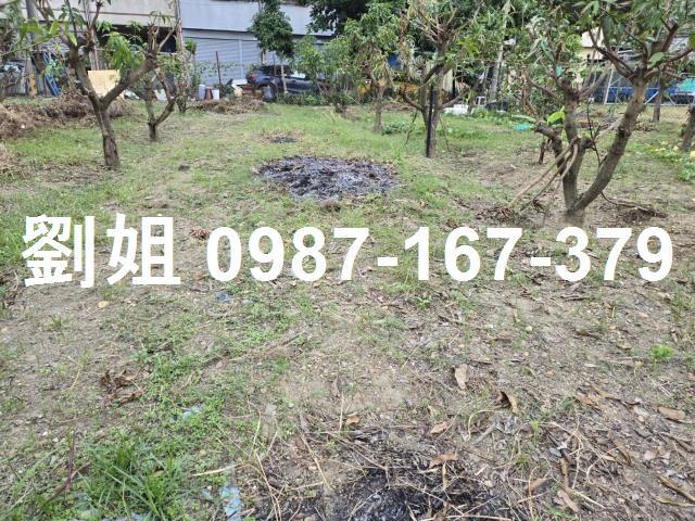 高雄農地-0