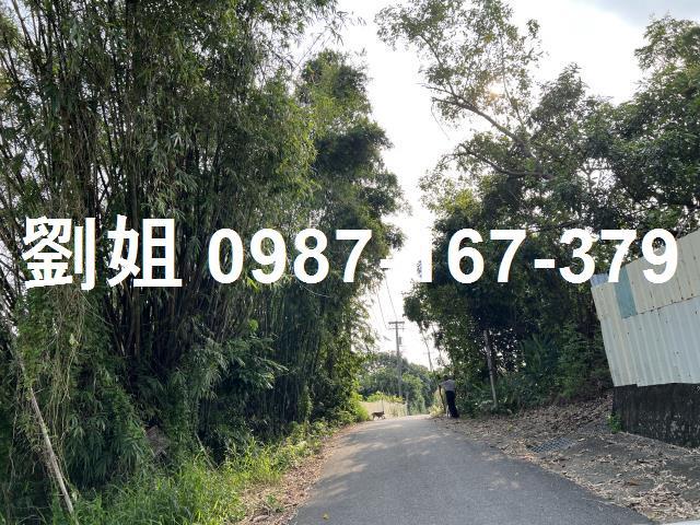 高雄農地-2