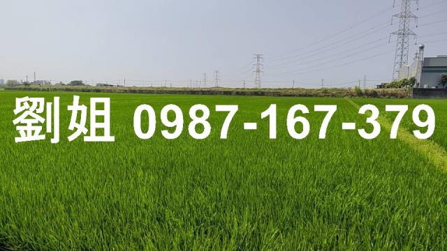 路竹農地-2