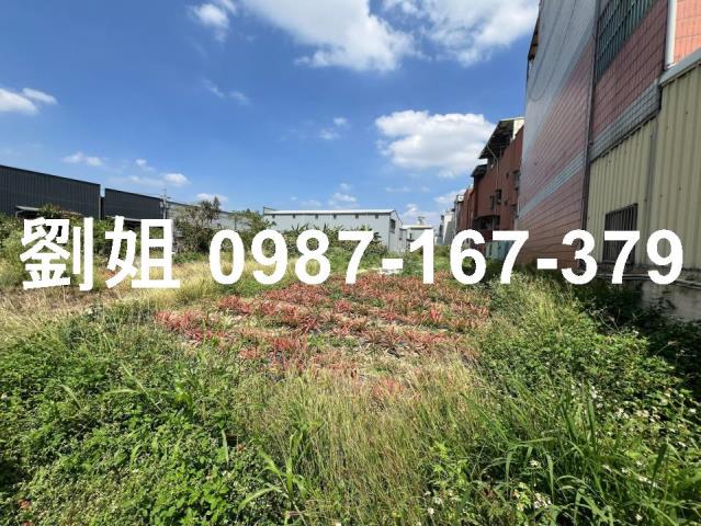 大樹農地-0