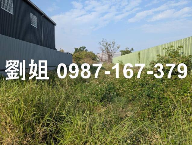 大寮農地-1