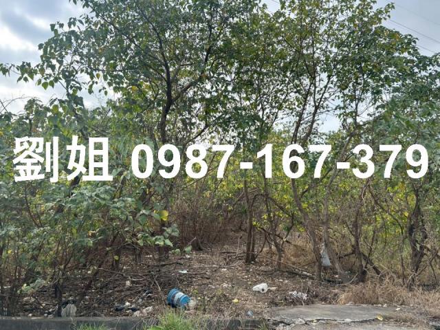 高雄農地-2