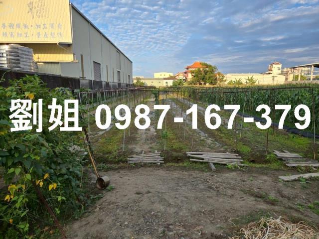 高雄大寮農地-0