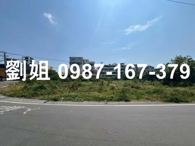 高雄大寮農地-2