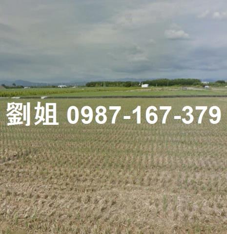 台南善化工業地-1