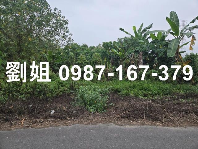 屏東里港農地-2