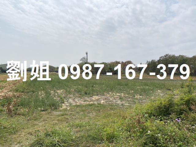 鹽水農地-0