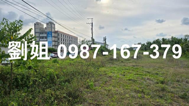 屏東農地-2