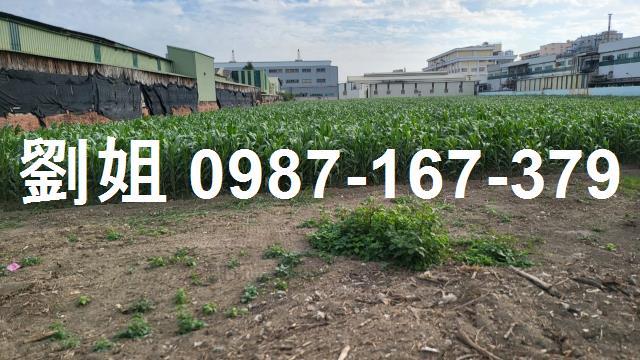 麻豆工業地-1