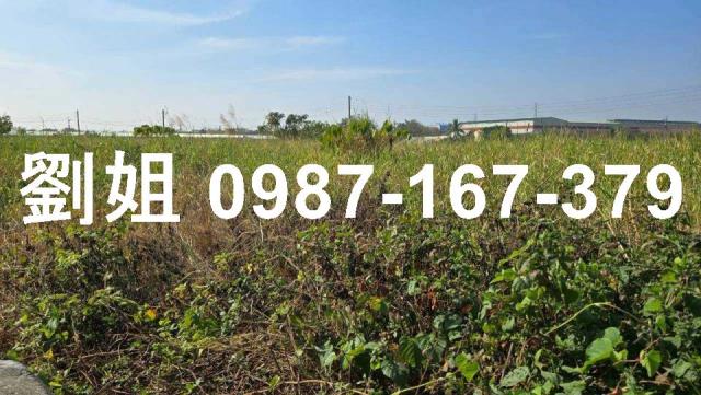 高雄阿蓮農地-3