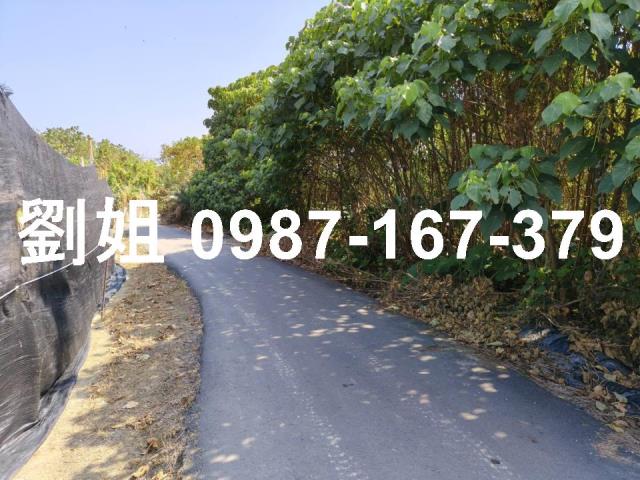 高雄旗山農地-1