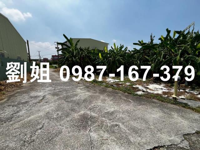 仁武農地-0