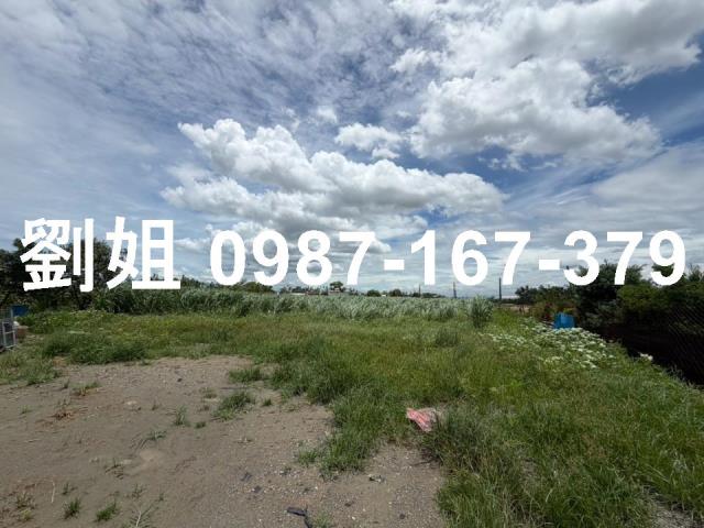 屏東市農地-1