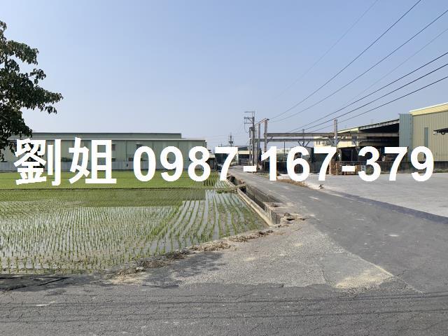 仁武農地-0