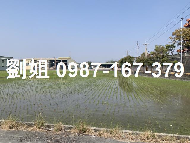 仁武農地-1