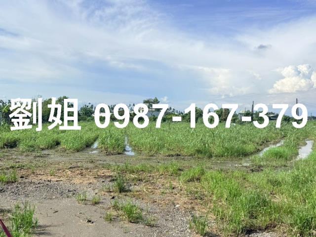 屏東市農地-1