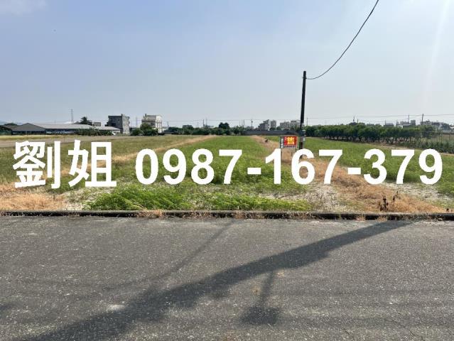 高雄路竹農地-0