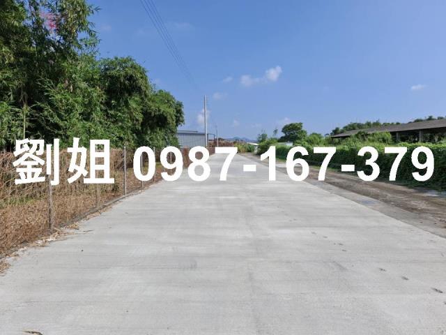 大社農地-2