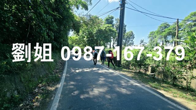旗山農地-2